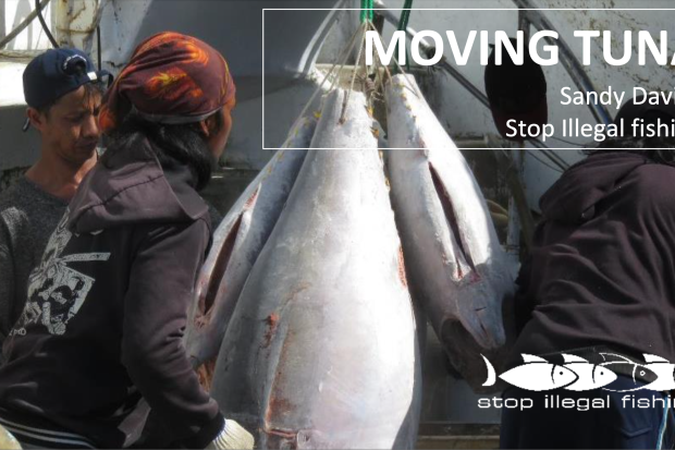 7th GFETW - Presentation 38 - Moving Tuna – Transhipment in the Western Indian Ocean - Stop Illegal Fishing thumbnail