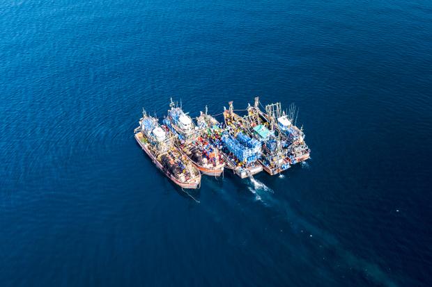 Five fishing vessels from above