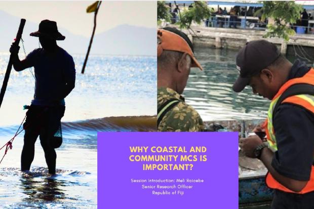 Intro - Coastal and Community MCS Presentation Image