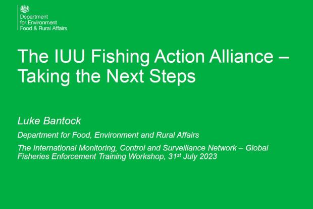 The IUU Fishing Action Alliance – Next Steps