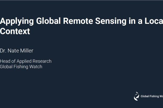 Global Fishing Watch Remote Sensing Local Context Presentation Image