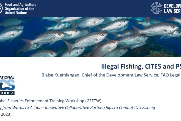 FAO Illegal Fishing, CITES and the PSMA Presentation