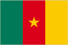 Cameroon Flag