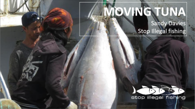 7th GFETW - Presentation 38 - Moving Tuna – Transhipment in the Western Indian Ocean - Stop Illegal Fishing thumbnail