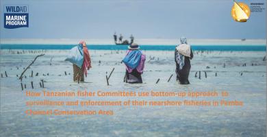 7th GFETW - Presentation 42 - Community Bottom-Up Approach to Surveillance and Enforcement in Tanzania Nearshore Fisheries – Mwambao Coastal Community Network thumbnail