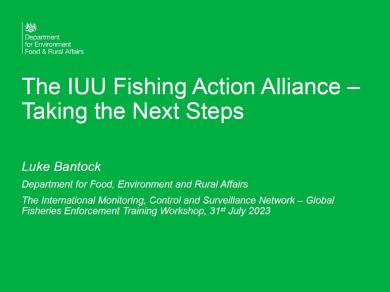 The IUU Fishing Action Alliance – Next Steps