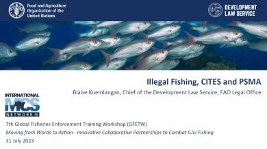 FAO Illegal Fishing, CITES and the PSMA Presentation