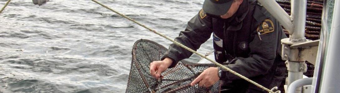 Canada DFO Officer Inspecting Trap