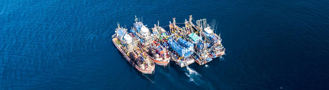Five fishing vessels from above