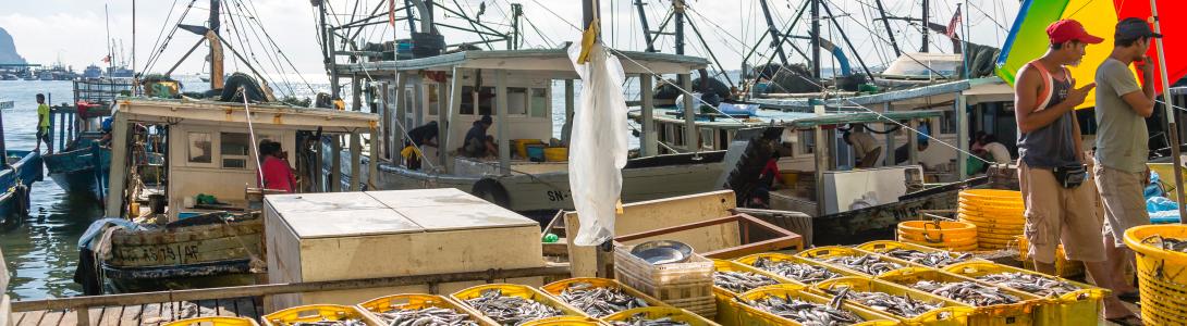 Yellow fish boxes at port