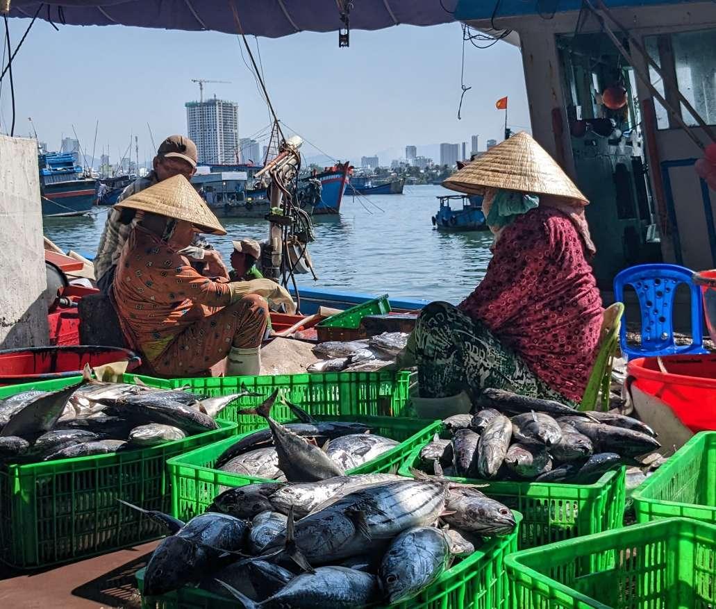Vietnam women with fish at port